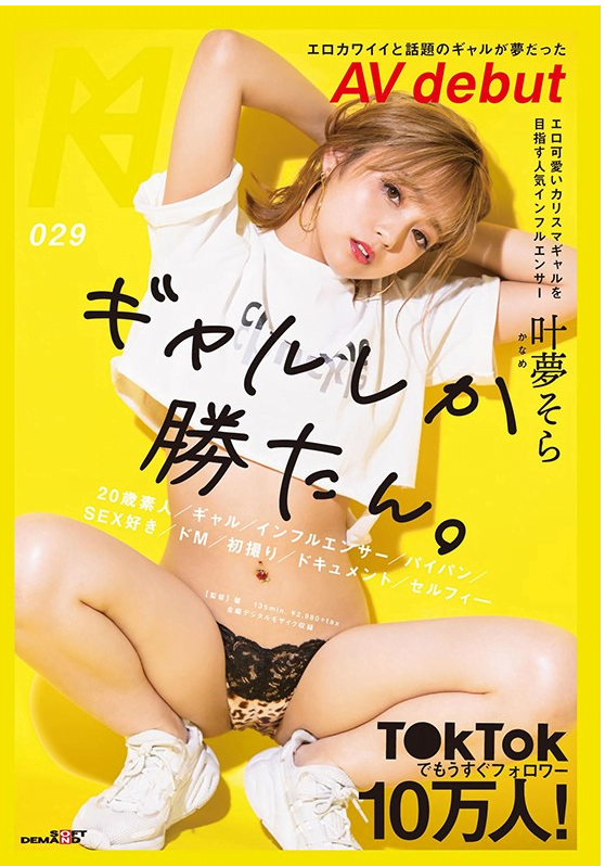 叶夢そらの画像